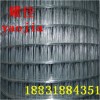 小丝电焊网 建筑用网  外墙保温网 铁丝网 围栏网 养殖网  电焊网 金属网 抹墙网