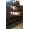 غير القابل للصدأ المواد مش 15 شبكة معدنية الصلب / الفولاذ المقاوم للصدأ شبكة hengfeng