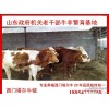 وزارة الزراعة في 2014 [الأنعام سيمنتال Charolais ليموزين] كم الاعانة؟