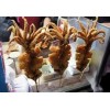 其他项目合作无敌轰炸大鱿鱼