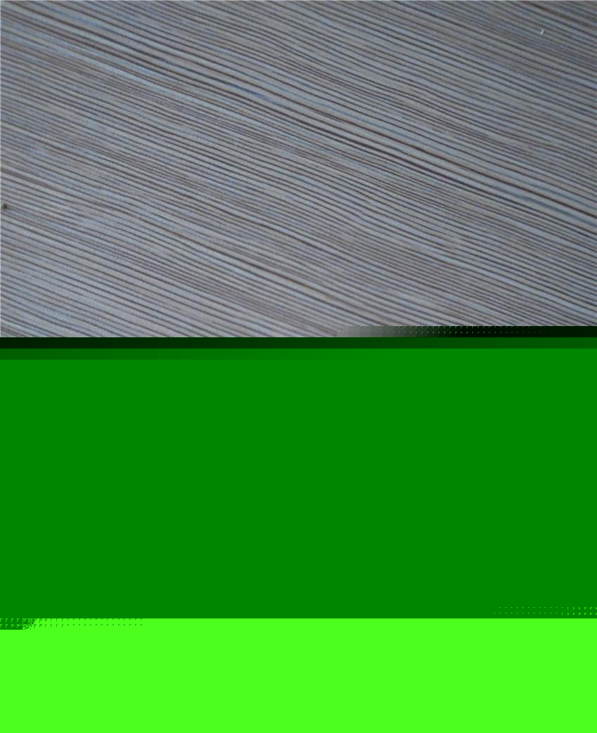 1/8''1/4"3/8"1/2"黄铜Y型等径三通内外丝快速