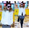 2014秋冬新款狐狸毛精品女式羽绒服修身显瘦短款时尚女装棉衣