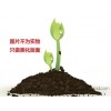生化试剂 化学试剂 生物试剂 辣根过氧化物酶