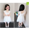 Children dress 2015 new summer Girls Sweet Princess Dress Skirt short sleeved child a generation