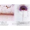 Xinxin Xinxin Xinxin biological section biological section teaching instrument