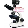 b204led مكررا (3) مش