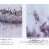 Xinxin slice
