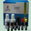 The detection kit of the B1ELISA 48T/ kit can be qualitative and quantitative detection of corn, ric