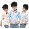 2014 new children's children in children's clothing wholesale Korean boy shirt shirt shirt flower