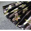 Girls' skirts Princess Dress cute dress in Korean flower children's children on behalf of a