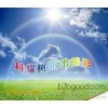 السيارات طلاء الاكريليك الراتنج va1065