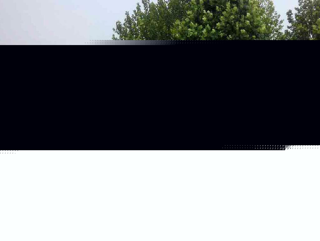 ventec الأمونيا الأمونيا مباشرة الصف الصناعية عالية النقاء الأمونيا الأمونيا السائلة جيجابايت