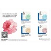 企业VIS设计  品牌平面设计、品牌推广、logo设计