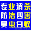 松岗餐厅治理臭虫跳蚤公司　松岗厨房灭虫害公司,松岗灭白蚁公司