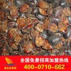 动物原药材 中药材 土元 土鳖虫 蛰虫 土元种苗