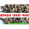 蟋蟀、蛐蛐、夜鸣虫、将军虫、秋虫 /中药材、动物原药材