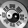 防伪商标 供应闪光标牌10