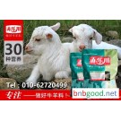 赤乐川Y340 羔羊用的饲料