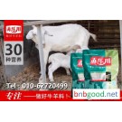 羔羊用的饲料