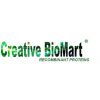 Mono-Methyl Histone H4K20 Quantification Kit (Fluorometric)