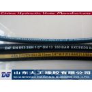 China low price Hydraulic Hose