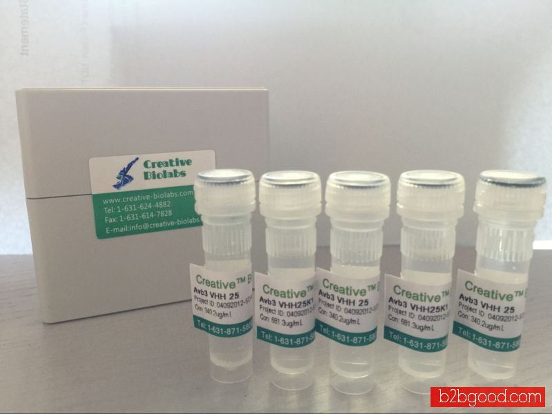 Recombinant Human Anti-human TXLNA Antibody Fab Fragment