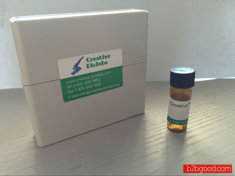 Recombinant Human Anti-Tyr Antibody Fab Fragment
