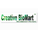 Amylase Assay Kit